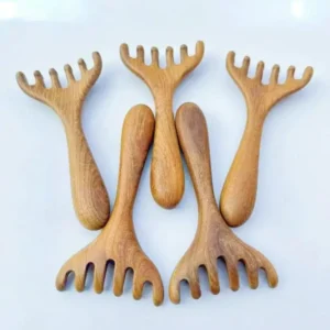 Natural Sandalwood Scalp Brush bristles